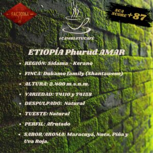 Café Etiopía Phurud AMAR