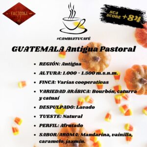 Café Guatemala Antigua Pastoral