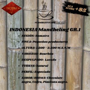 Café Indonesia Mandheling GR1