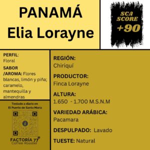 Café Panamá Elia Lorayne